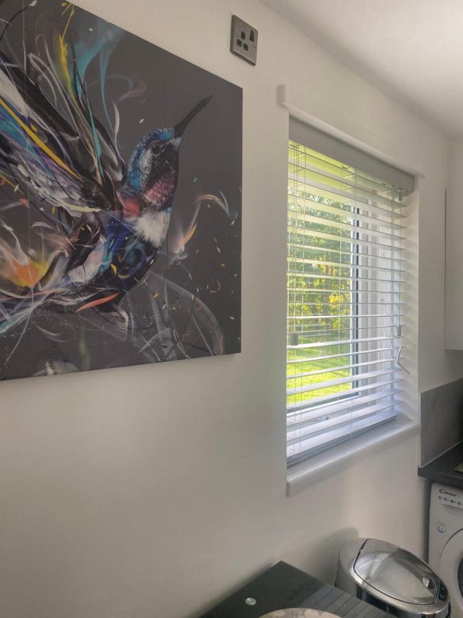 Cosy Studio Apartment Waterlooville Ngoại thất bức ảnh